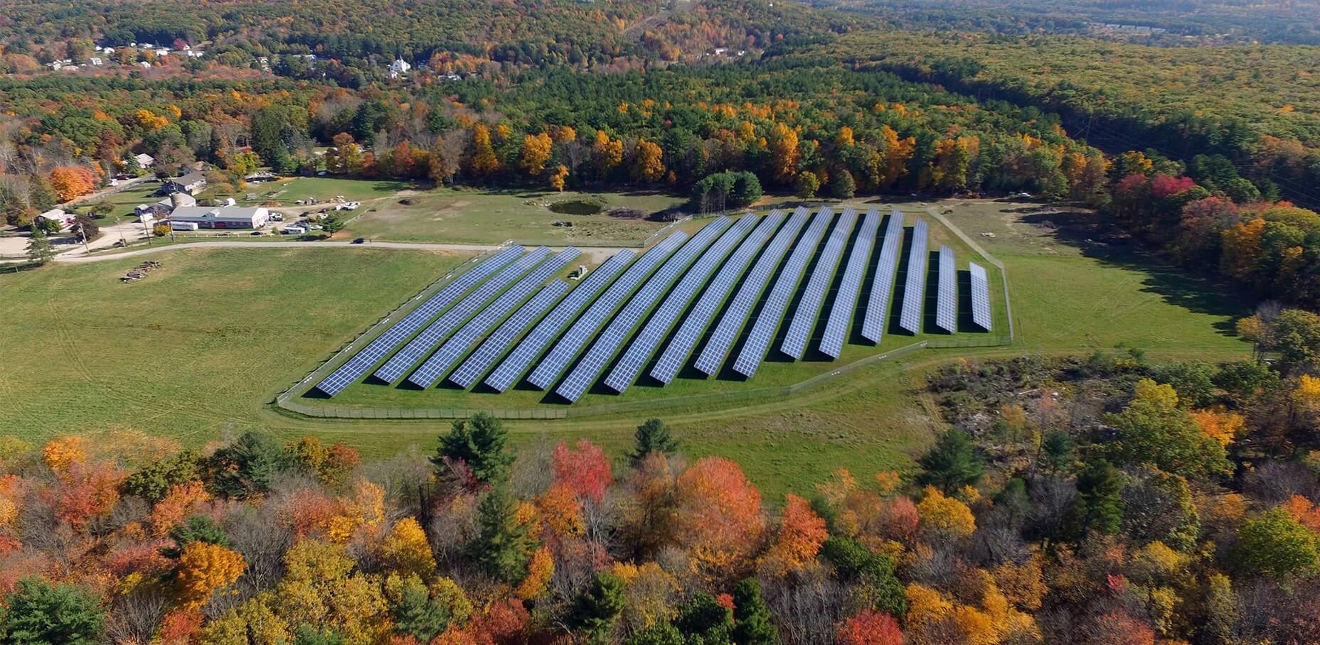 An open field with large solar panel arrays, making up a solar farm.